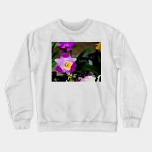 Bright Sunday Crewneck Sweatshirt